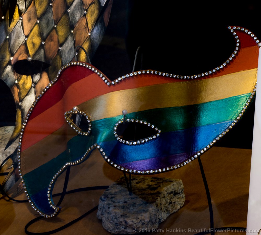 Mask in a Store Window, French Quarter, New Orleans © 2016 Patty Hankins