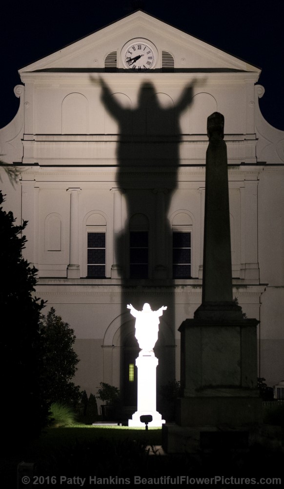 Dramatic Shadow, French Quarter, New Orleans © 2016 Patty Hankins