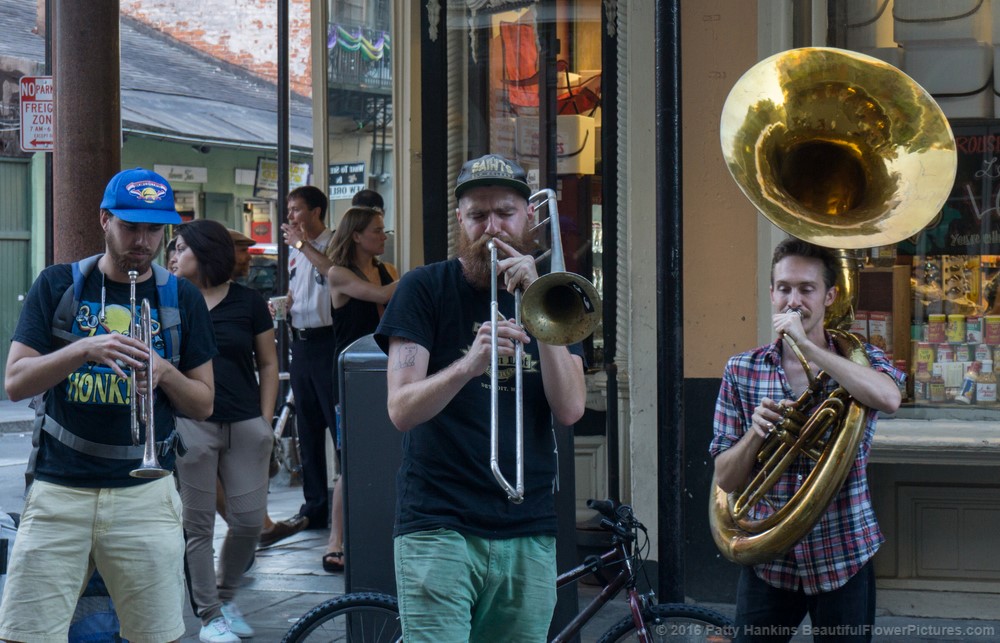 Street Musician in the French Quarter, New Orleans © 2016 Patty Hankins