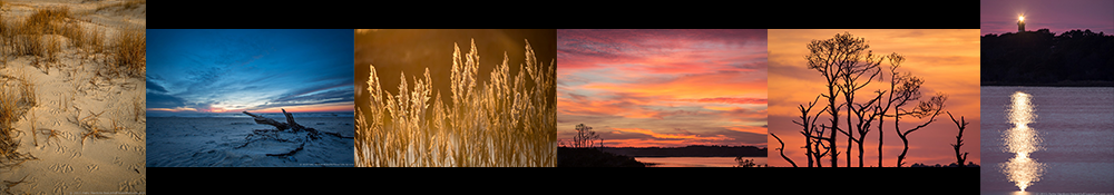 chincoteague-workshop-banner