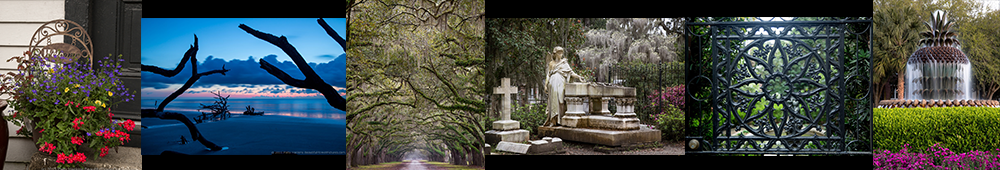 savannah-charleston-banner1