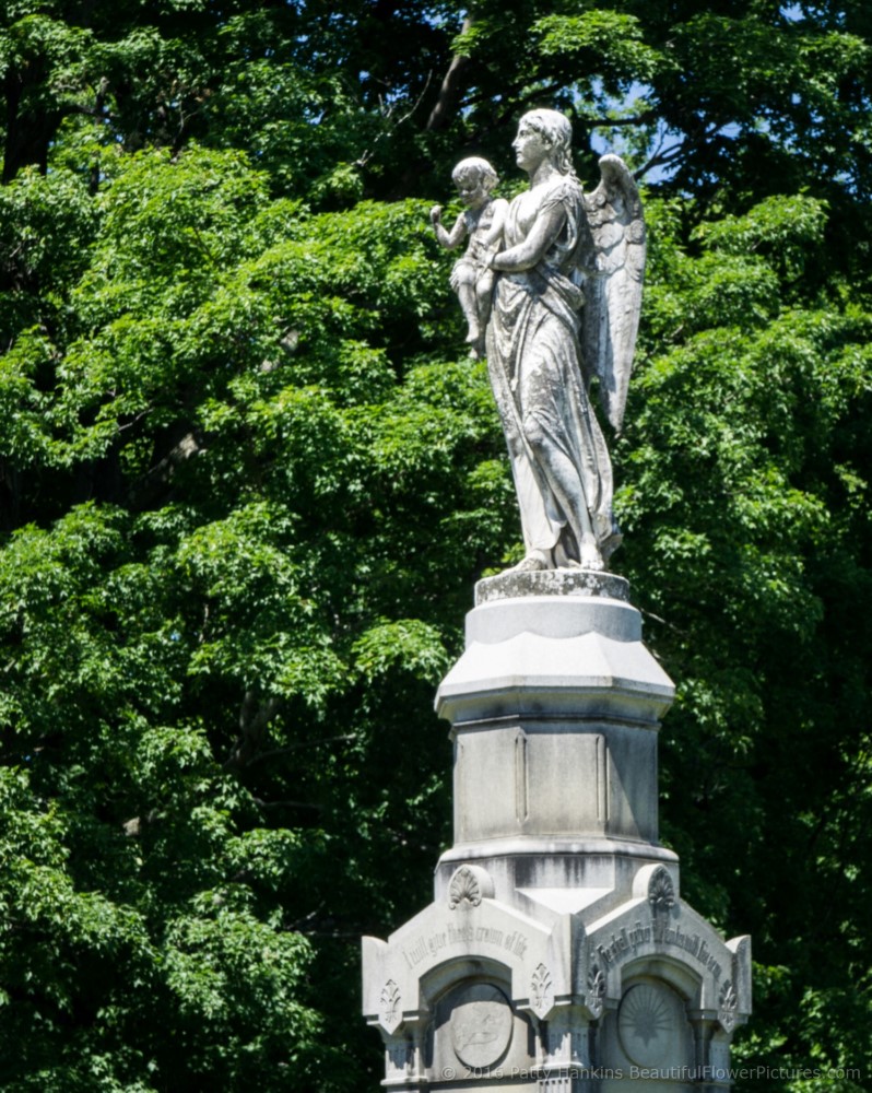 Grave at Albany Rural Cemetery, Menands, New York © 2016 Patty Hankins