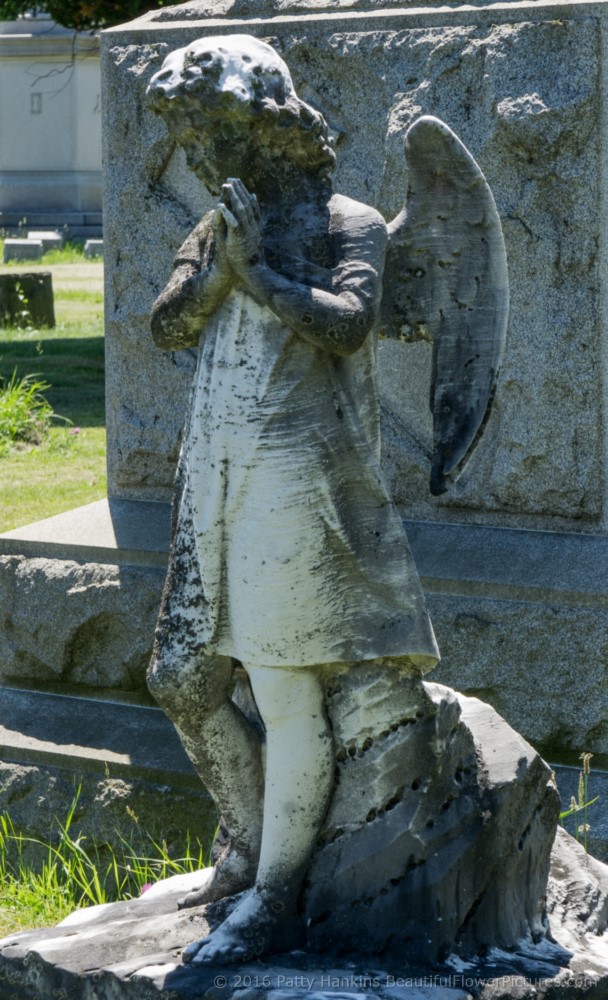 Grave at Albany Rural Cemetery, Menands, New York © 2016 Patty Hankins