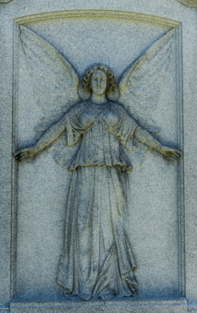 Grave at Albany Rural Cemetery, Menands, New York © 2016 Patty Hankins