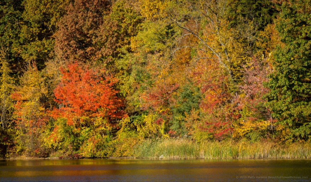 Fall Color at Olana State Historic Site © 2016 Patty Hankins