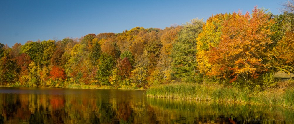 Fall Color at Olana State Historic Site © 2016 Patty Hankins