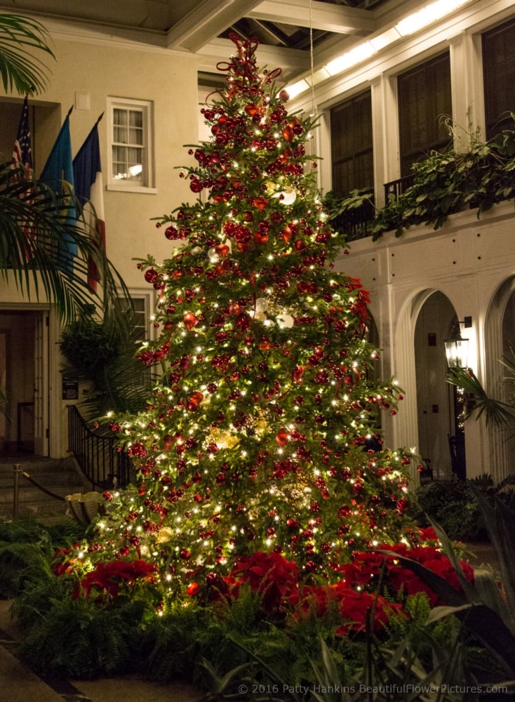 Christmas at the du Pont House, Longwood Gardens © 2016 Patty Hankins