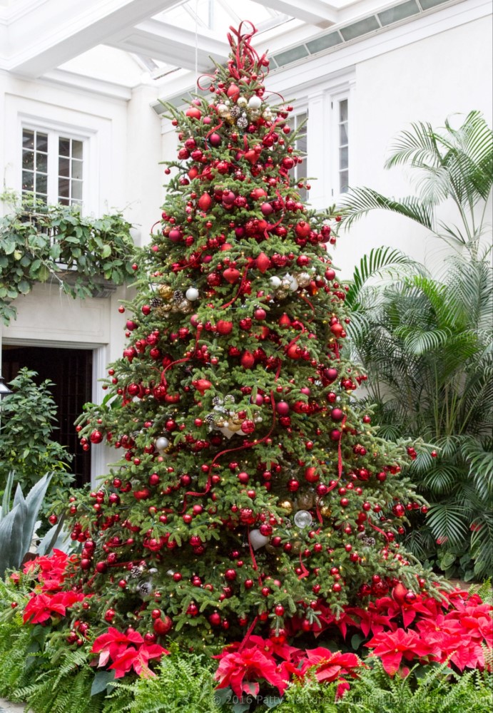 Christmas at the du Pont House, Longwood Gardens © 2016 Patty Hankins