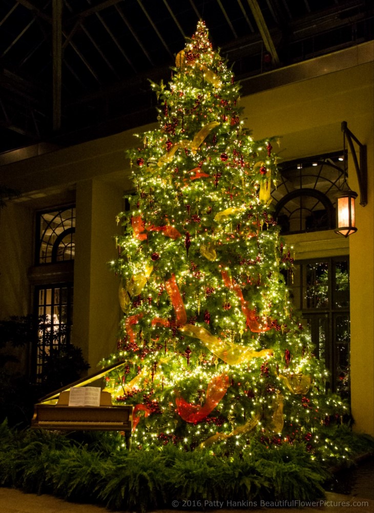 Christmas in the East Conservatory, Longwood Gardens © 2016 Patty Hankins