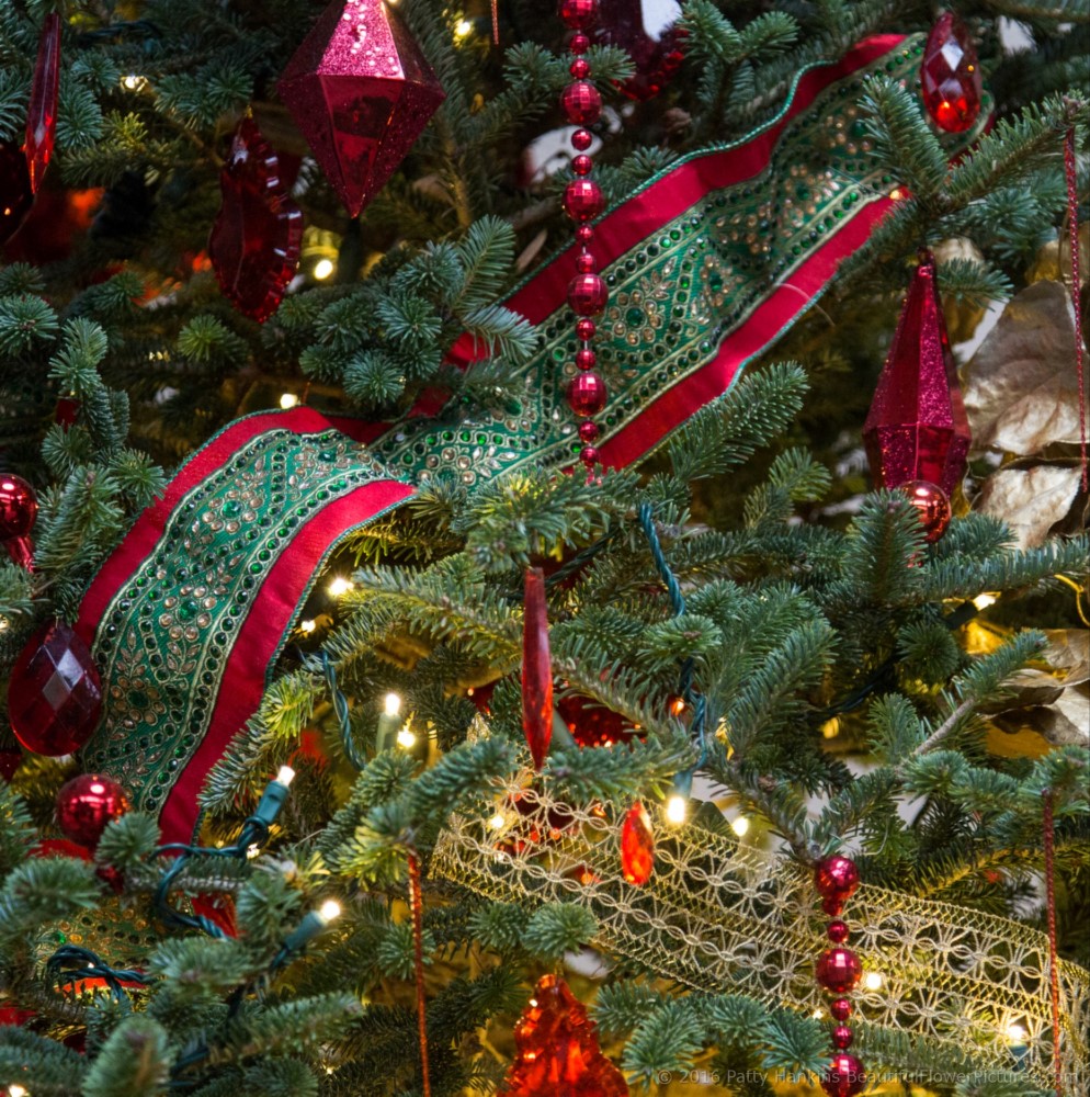 Christmas in the East Conservatory, Longwood Gardens © 2016 Patty Hankins