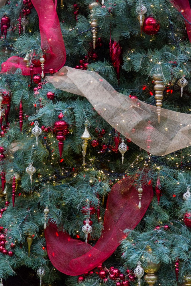 Christmas in the East Conservatory, Longwood Gardens © 2016 Patty Hankins