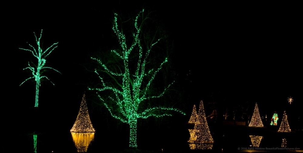 Outdoor Lights, Christmas at Longwood Gardens © 2016 Patty Hankins