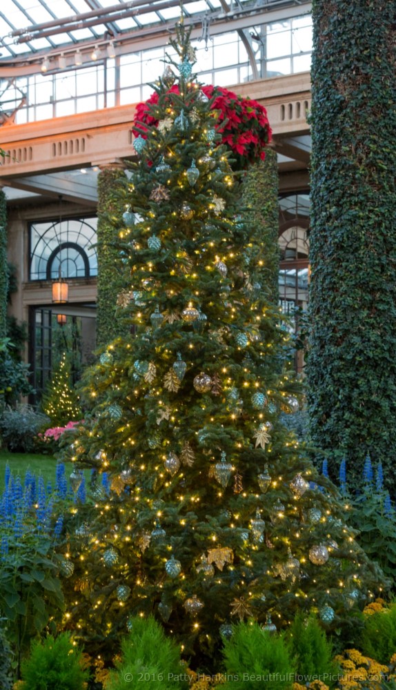 Christmas in the Main Conservatory, Longwood Gardens © 2016 Patty Hankins