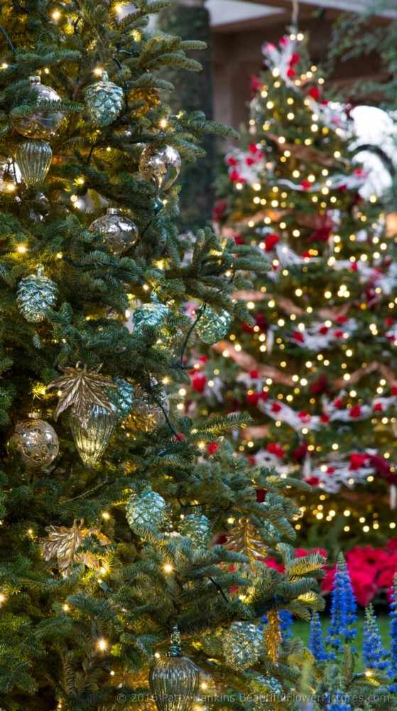 Christmas in the Main Conservatory, Longwood Gardens © 2016 Patty Hankins