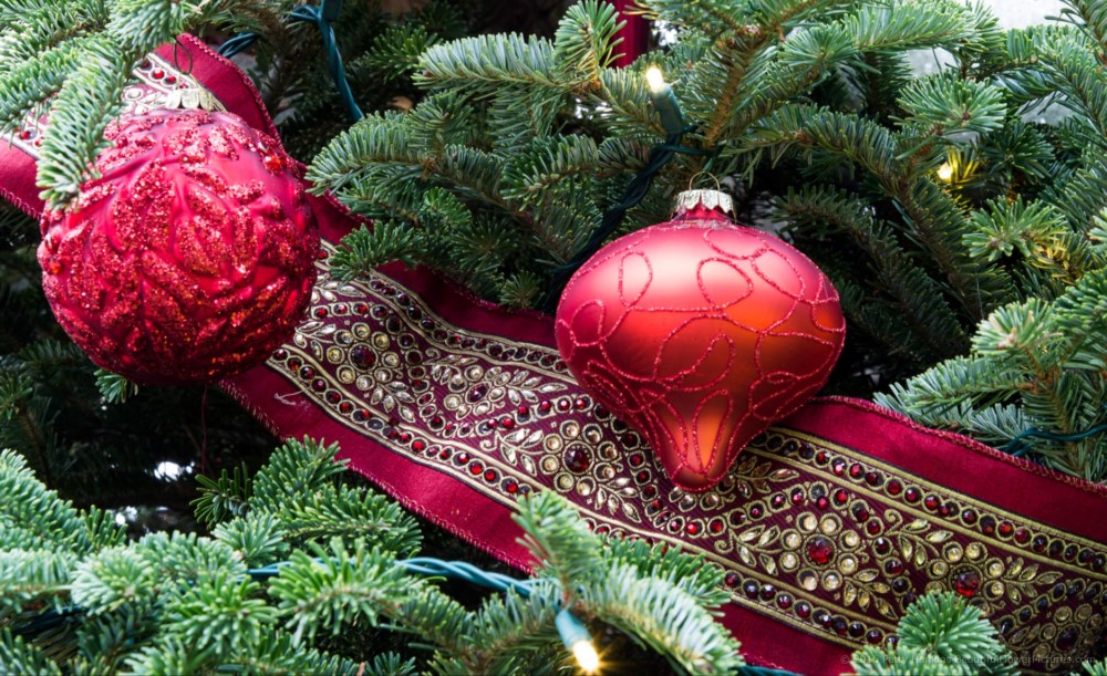 Christmas in the Main Conservatory, Longwood Gardens © 2016 Patty Hankins