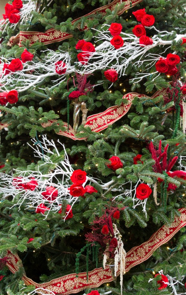 Christmas in the Main Conservatory, Longwood Gardens © 2016 Patty Hankins