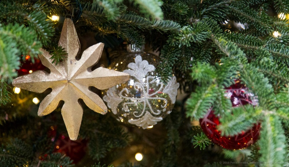 Christmas in the Main Conservatory, Longwood Gardens © 2016 Patty Hankins