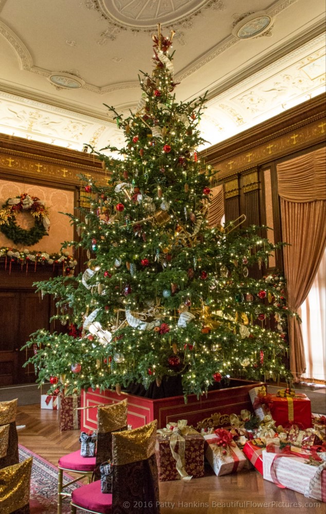 Christmas in the Music Room, Longwood Gardens © 2016 Patty Hankins