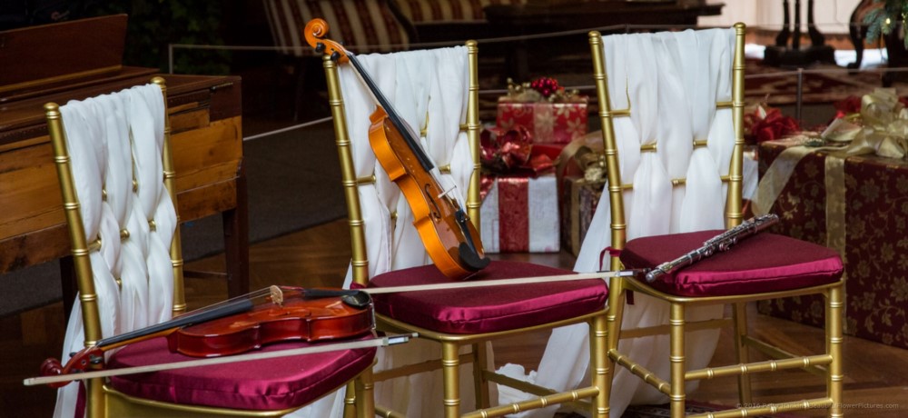 Christmas in the Music Room, Longwood Gardens © 2016 Patty Hankins