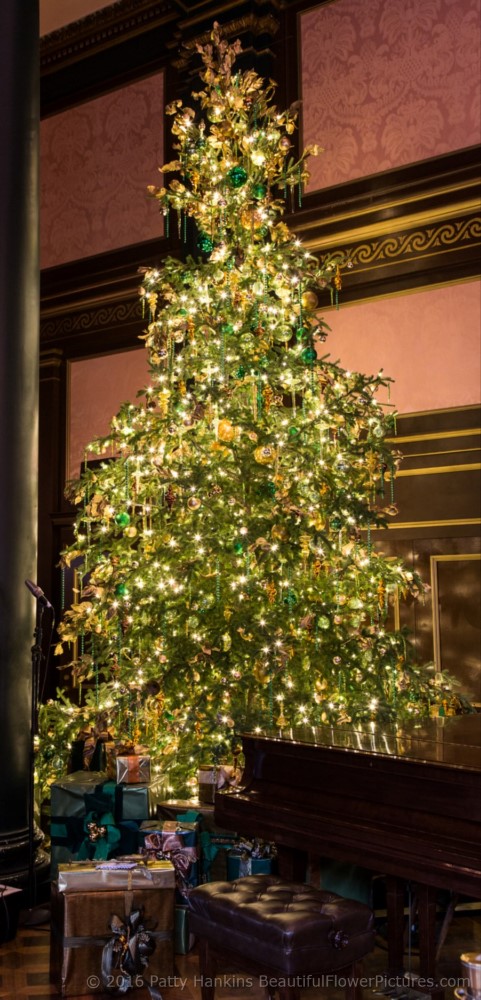 Christmas in the Organ Room, Longwood Gardens © 2016 Patty Hankins