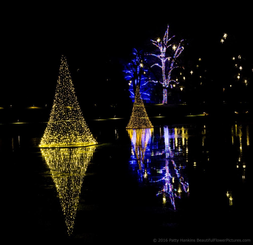 Outdoor Lights, Christmas at Longwood Gardens © 2016 Patty Hankins