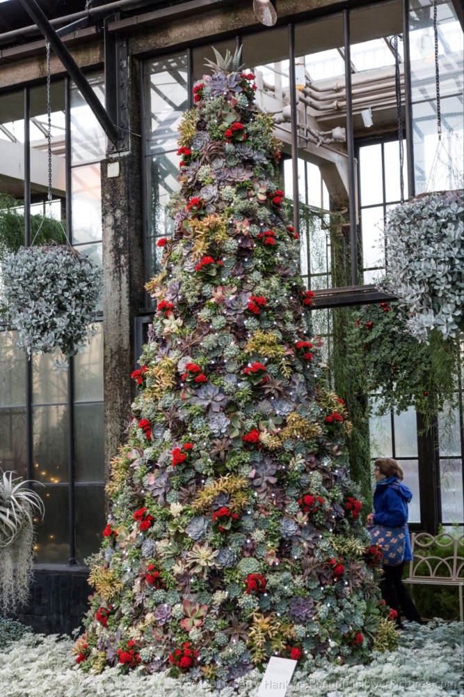 Christmas in the Silver Garden, Longwood Gardens © 2016 Patty Hankins