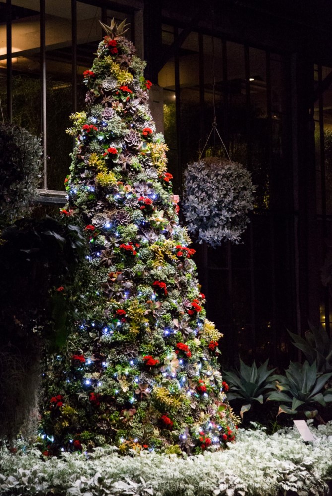 Christmas in the Silver Garden, Longwood Gardens © 2016 Patty Hankins