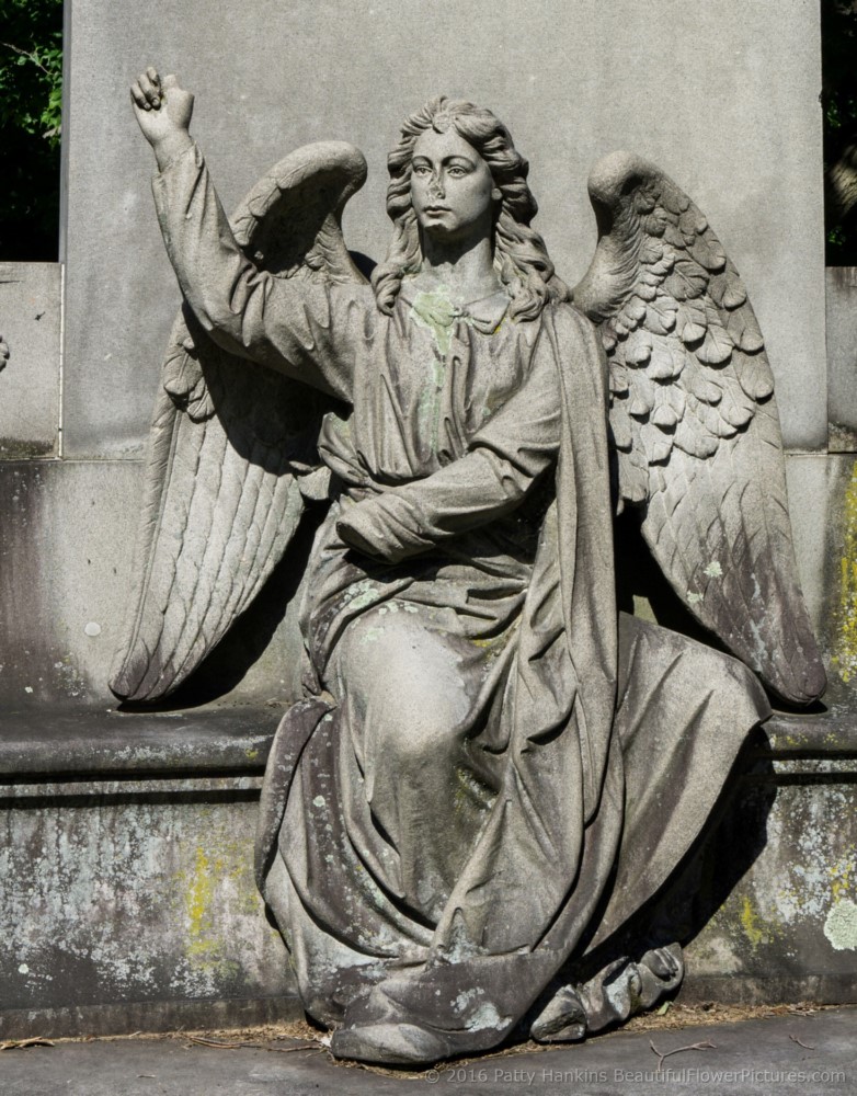 Oakwood Cemetery, Troy, NY © 2016 Patty Hankins