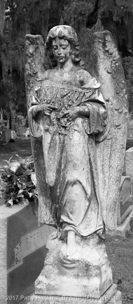 Loupasis Grave, Greenwich Cemetery, Savannah, GA © 2017 Patty Hankins