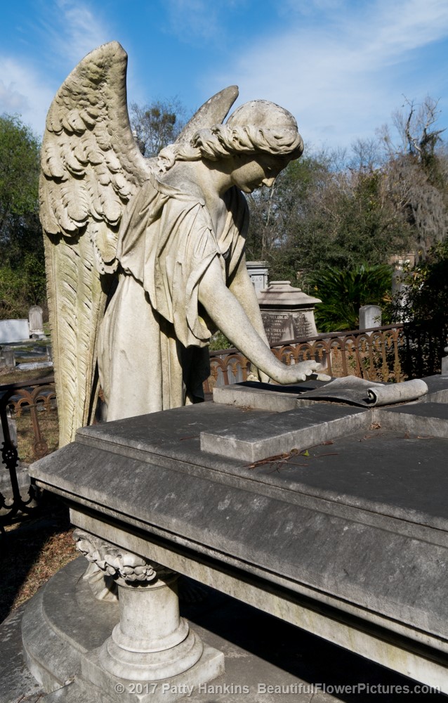 Louisa Porter Grave, Laurel Grove Cemetery North, Savannah, GA © 2017 Patty Hankins