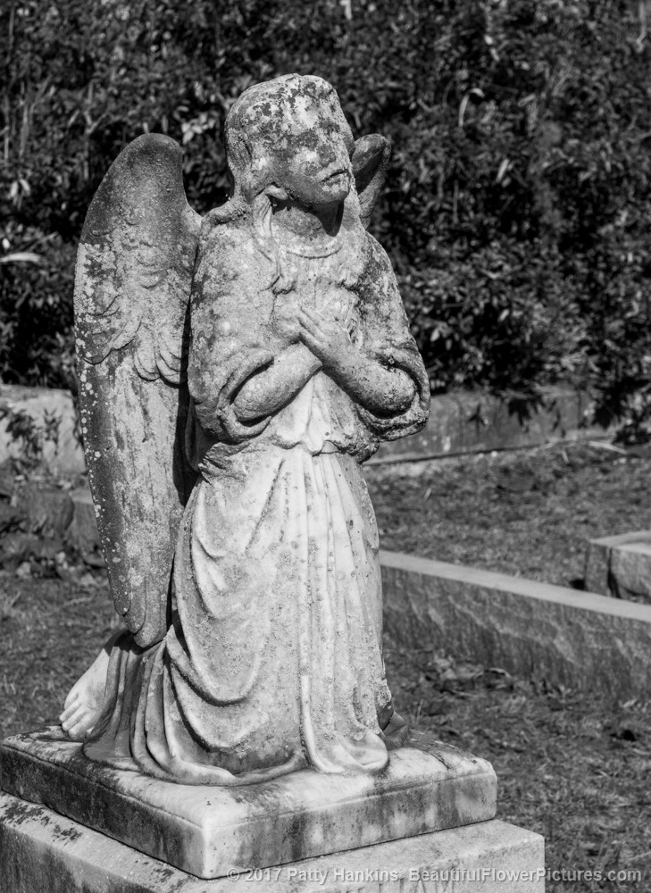 William Lee Grave,  Laurel Grove Cemetery North, Savannah, GA © 2017 Patty Hankins