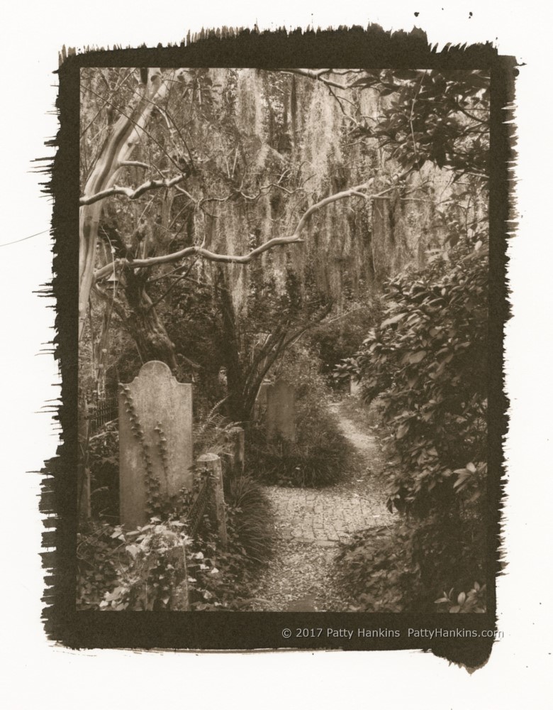 Grave Lined Path, Unitarian Cemetery, Charleston, South Carolina. Palladium Toned Kallitype © 2017 Patty Hankins