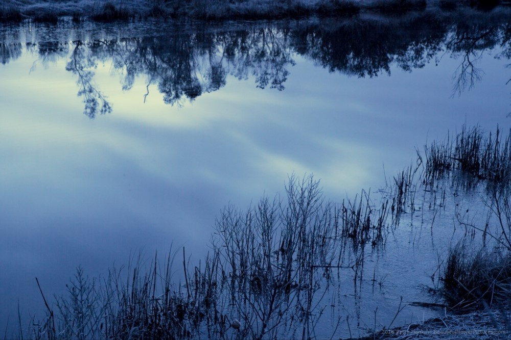 Chincoteague Sunrise Reflections © 2016 Patty Hankins