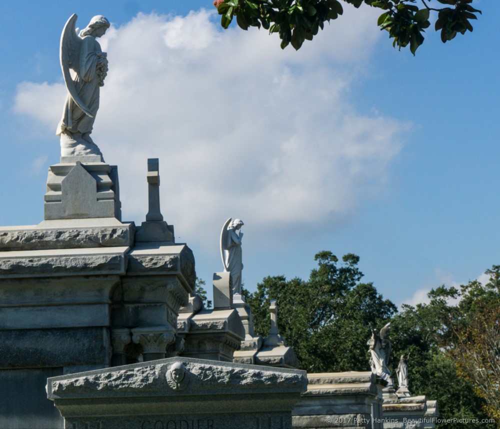 At Metarie Cemetery, New Orleans, LA © 2017 Patty Hankins