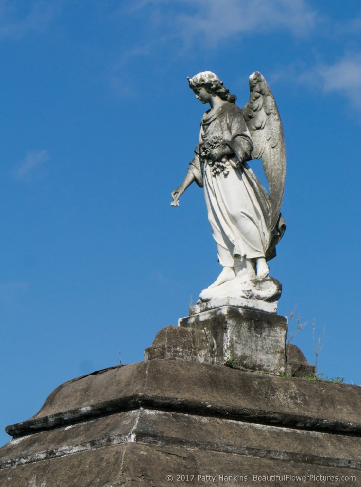 Angel At Metarie Cemetery, New Orleans, LA © 2017 Patty Hankins