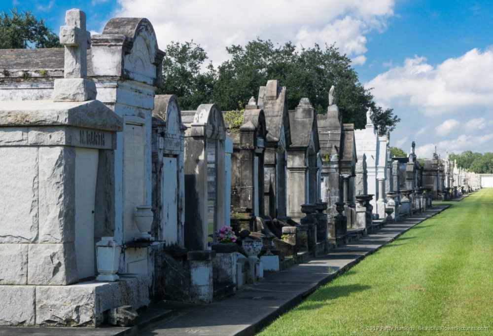 At Metarie Cemetery, New Orleans, LA © 2017 Patty Hankins