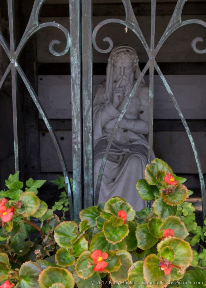 At Metarie Cemetery, New Orleans, LA © 2017 Patty Hankins