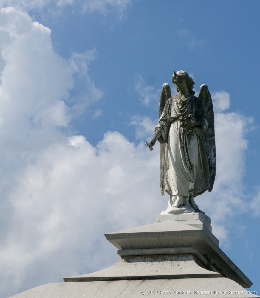 Angel At Metarie Cemetery, New Orleans, LA © 2017 Patty Hankins