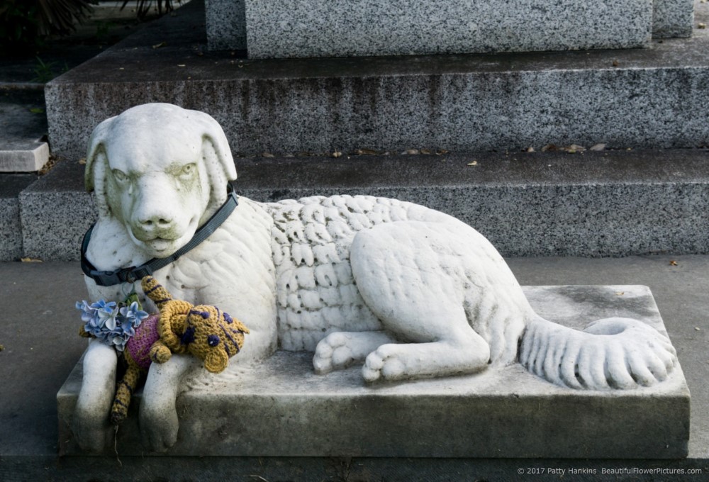 Dog At Metarie Cemetery, New Orleans, LA © 2017 Patty Hankins