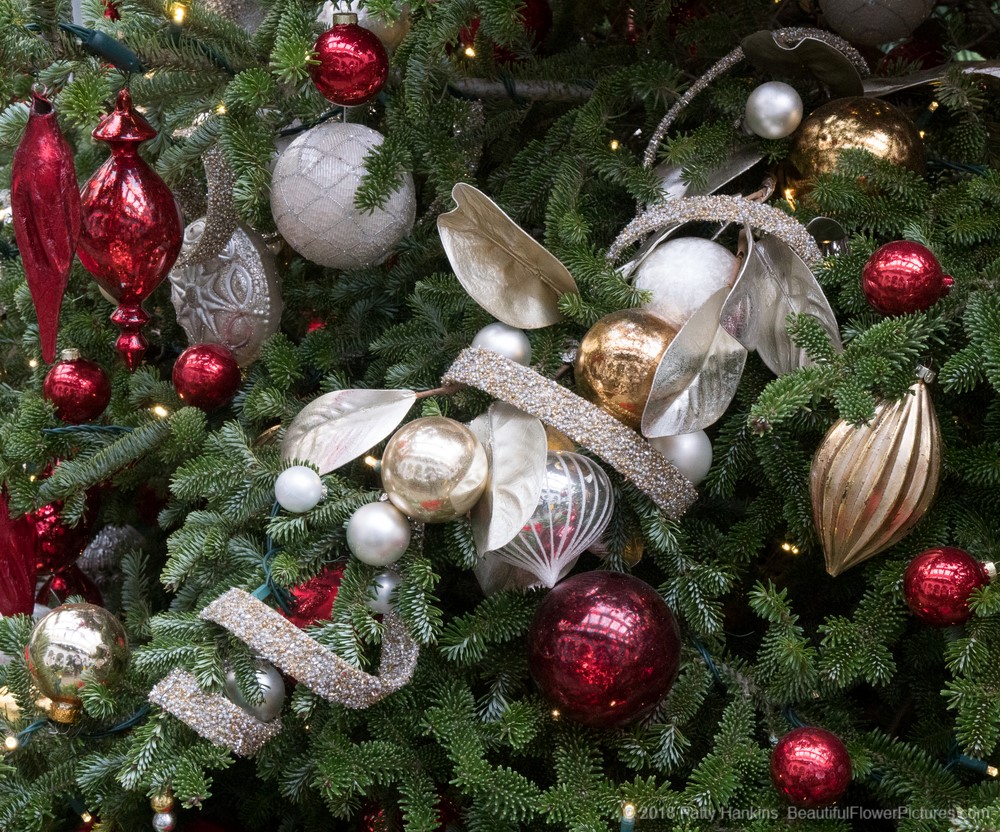 Christmas at the DuPont House, Longwood Gardens (c) 2018 Patty Hankins