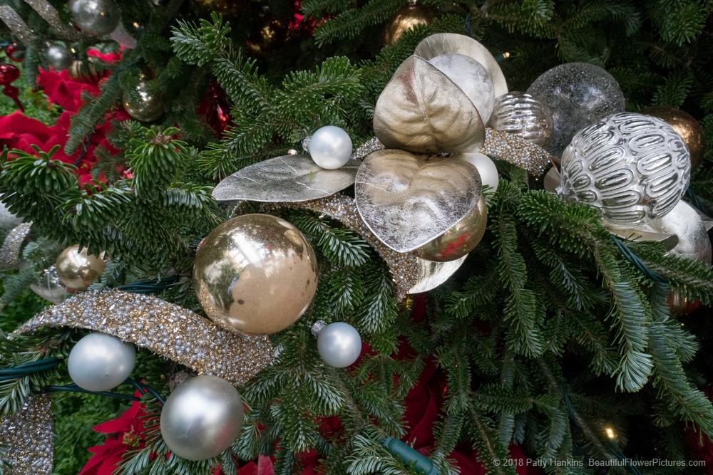 Christmas at the DuPont House, Longwood Gardens (c) 2018 Patty Hankins