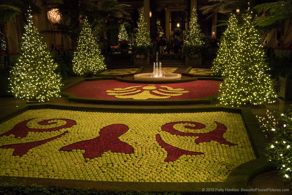 Christmas in the Exhibition Hall, Longwood Gardens (c) 2018 Patty Hankins