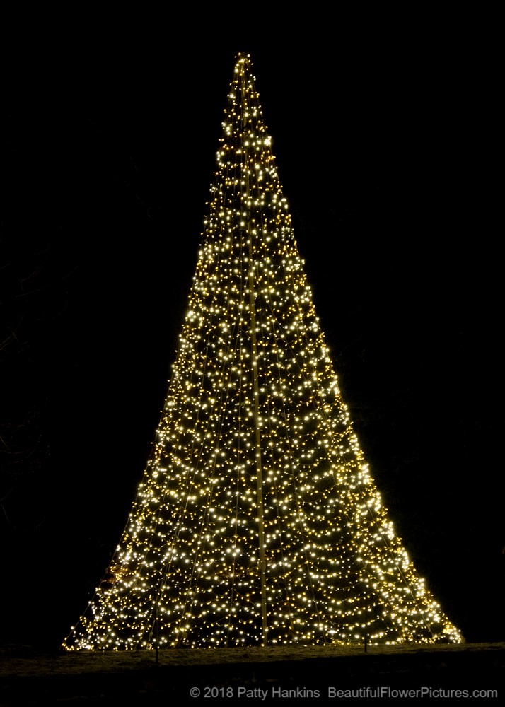 Outdoor Christmas Lights, Longwood Gardens (c) 2018 Patty Hankins