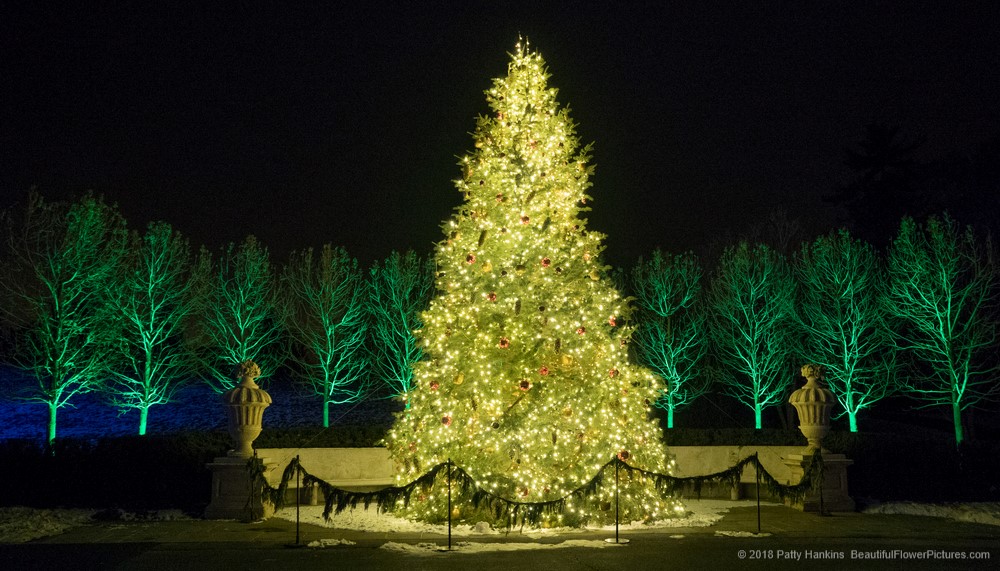 Outdoor Christmas Lights, Longwood Gardens (c) 2018 Patty Hankins