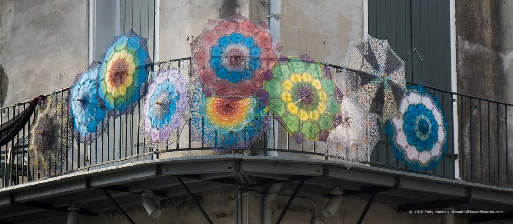 Parasols on a Balcony, French Quarter, New Orleans © 2018 Patty Hankins