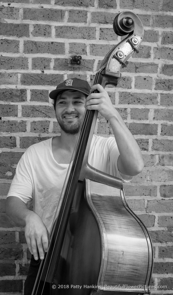 Musician in the French Quarter, New Orleans © 2018 Patty Hankins