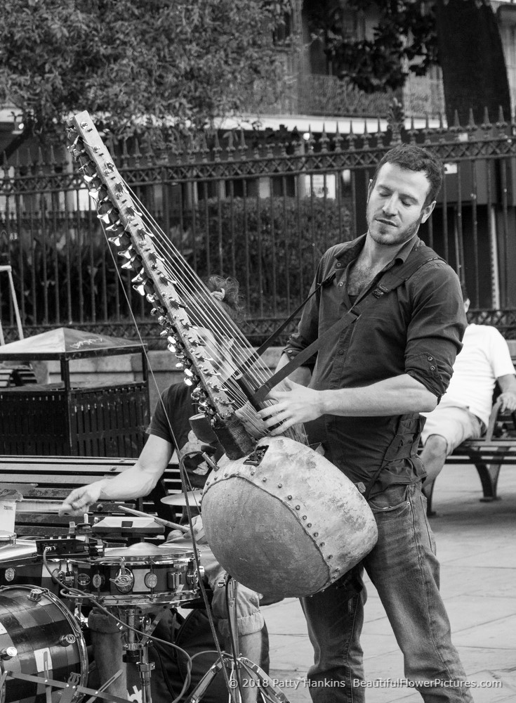 Musician in the French Quarter, New Orleans © 2018 Patty Hankins