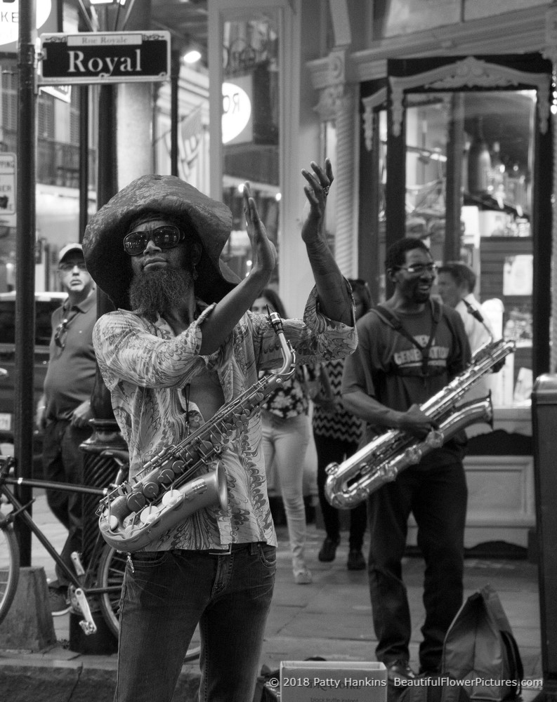 Musician in the French Quarter, New Orleans © 2018 Patty Hankins