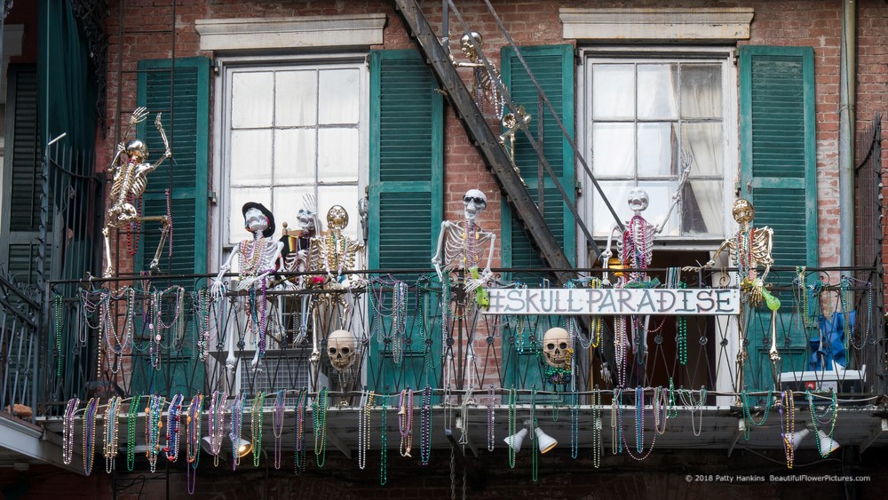 Mardi Gras Decorations, French Quarter, New Orleans © 2018 Patty Hankins