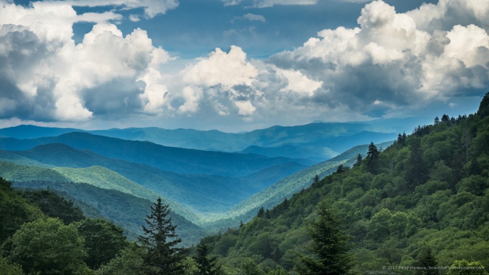 Newfound Gap, Great Smoky Mountains National Park © 2017 Patty Hankins